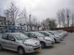 福萊駕校推出貴賓班，購標致車享免費學車與專業(yè)陪駕服務